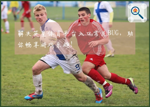 解决英皇体育平台入口常见BUG,助你畅享游戏乐趣!
